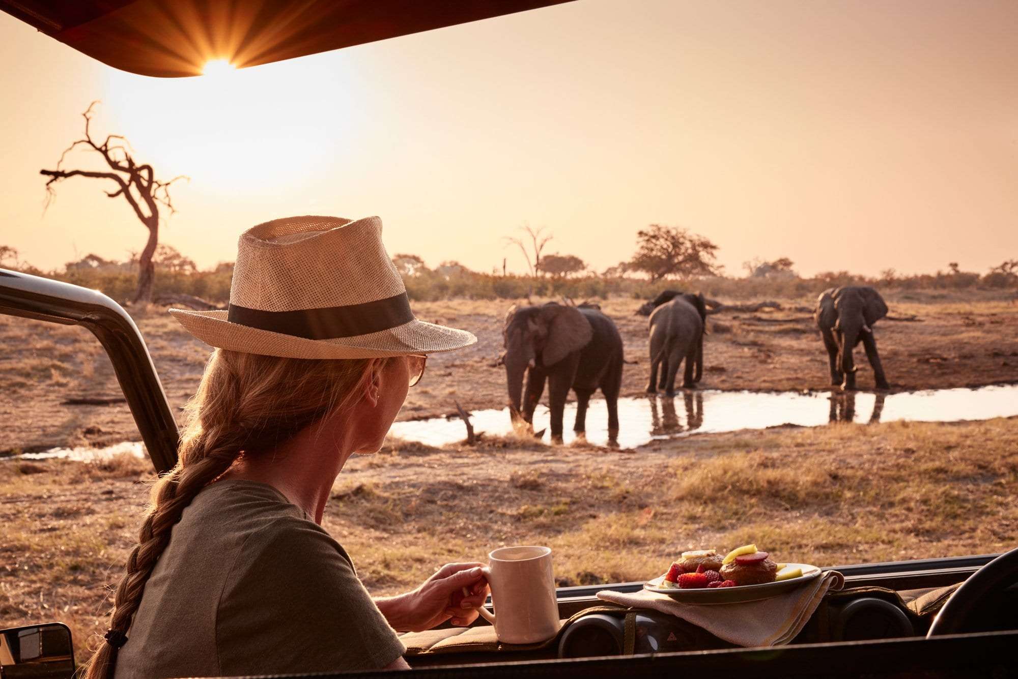 5 Days Unforgettable Wildlife & Gorilla Tracking Adventure 4 Elephant-Lodge
