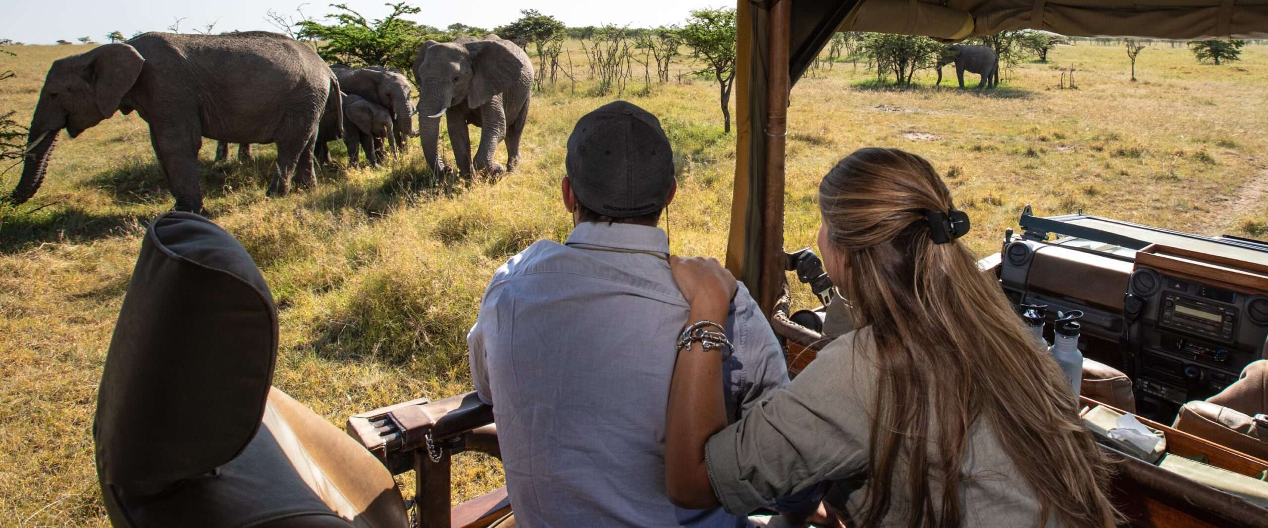 5 Days Unforgettable Wildlife & Gorilla Tracking Adventure 2 adore-africa-safari-guide-first-time-on-safari-FIN