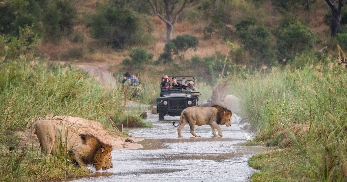 5 Days Unforgettable Wildlife & Gorilla Tracking Adventure 3 flatten;crop_down;webp=auto;jpeg_quality=70