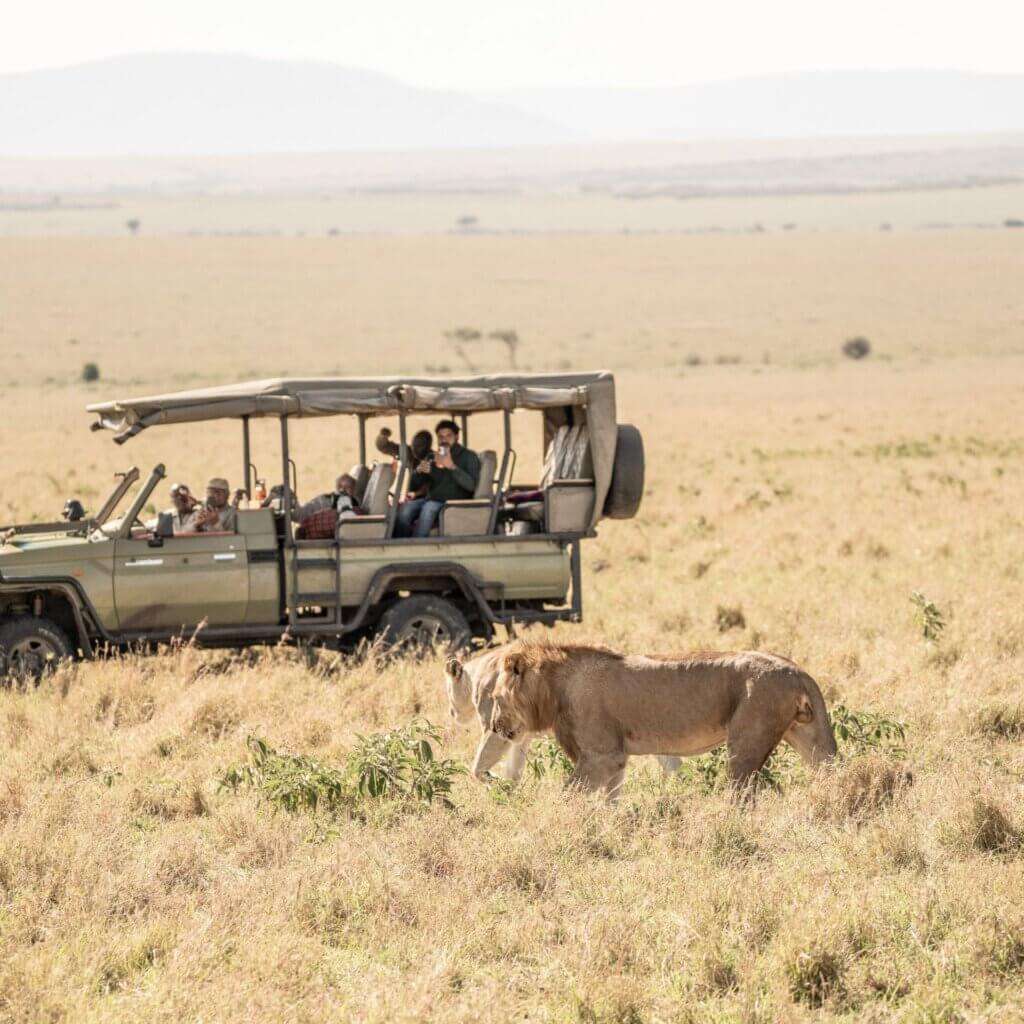 20 Days Best Uganda Classic Safari 8 10-2-1024x1024
