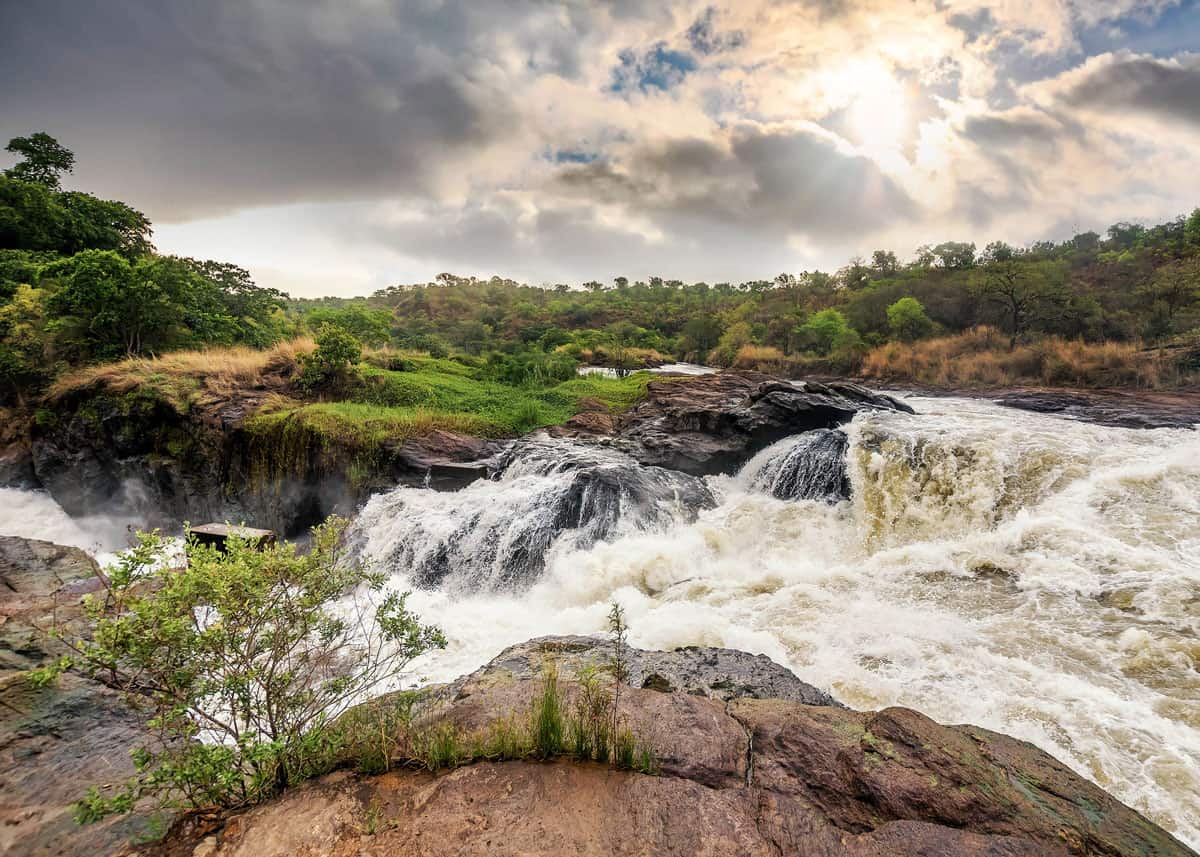 21 days Uganda Safari – Experience Uganda 5 Uganda safari packages 2024