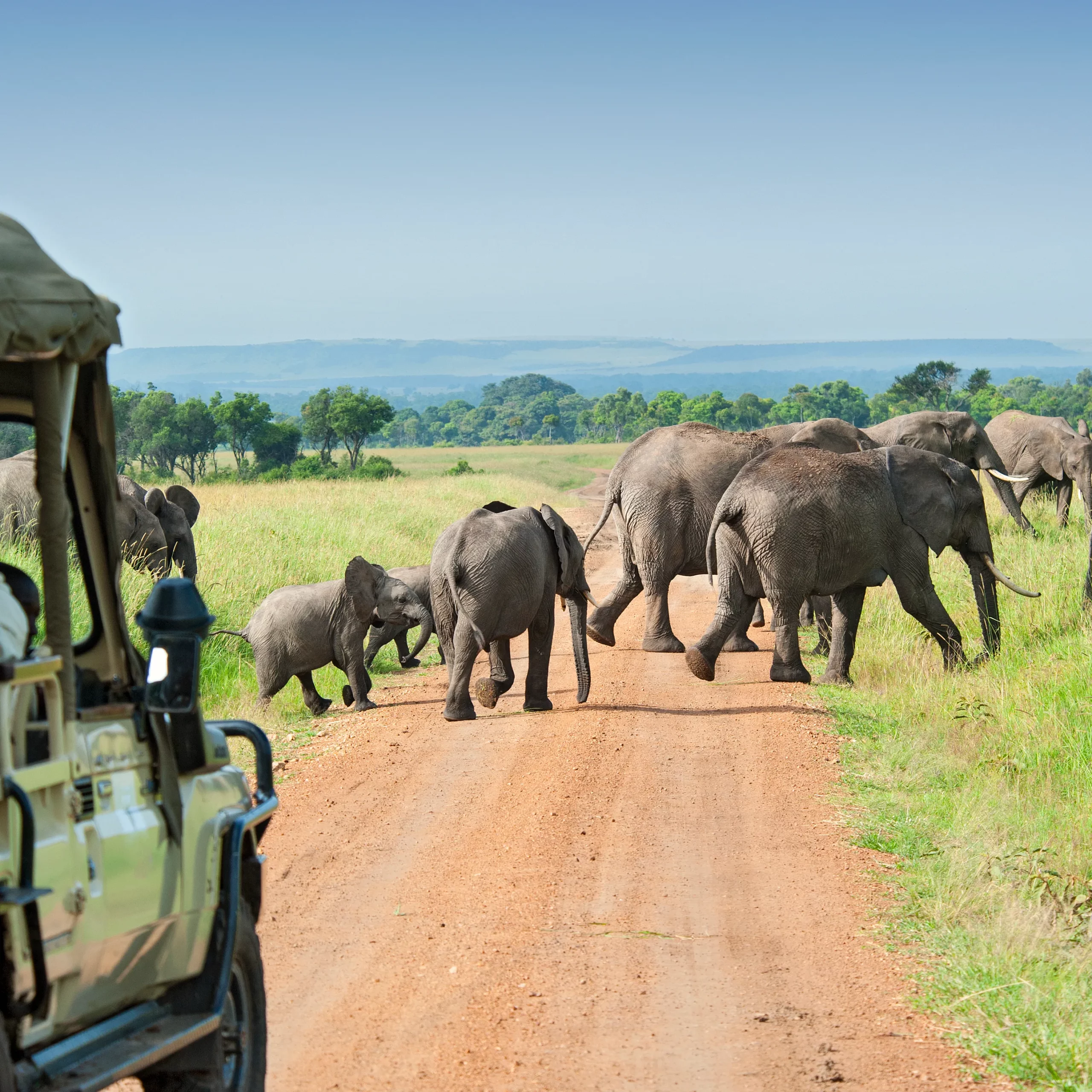 20 Days Best Uganda Classic Safari 9 hjndf