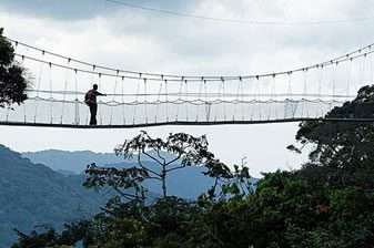 10 Days Rwanda Primate Safari 8 nyungwe