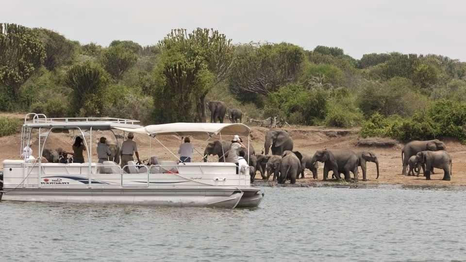 Safari In Queen Elizabeth National Park
